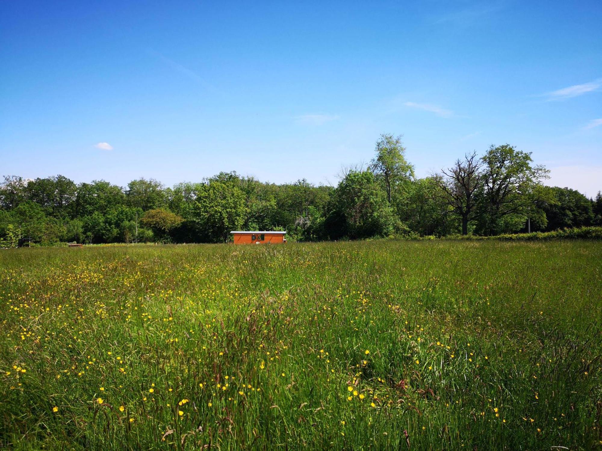 Roulotte & Foret - Evasion Boheme En Bourgogne Antully Экстерьер фото